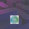 Certified Agile Leadership CAL1-E/T/O, 3-day course